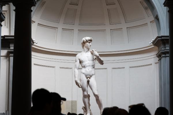 Tour Guidato Galleria dell'Accademia e David di Michelangelo