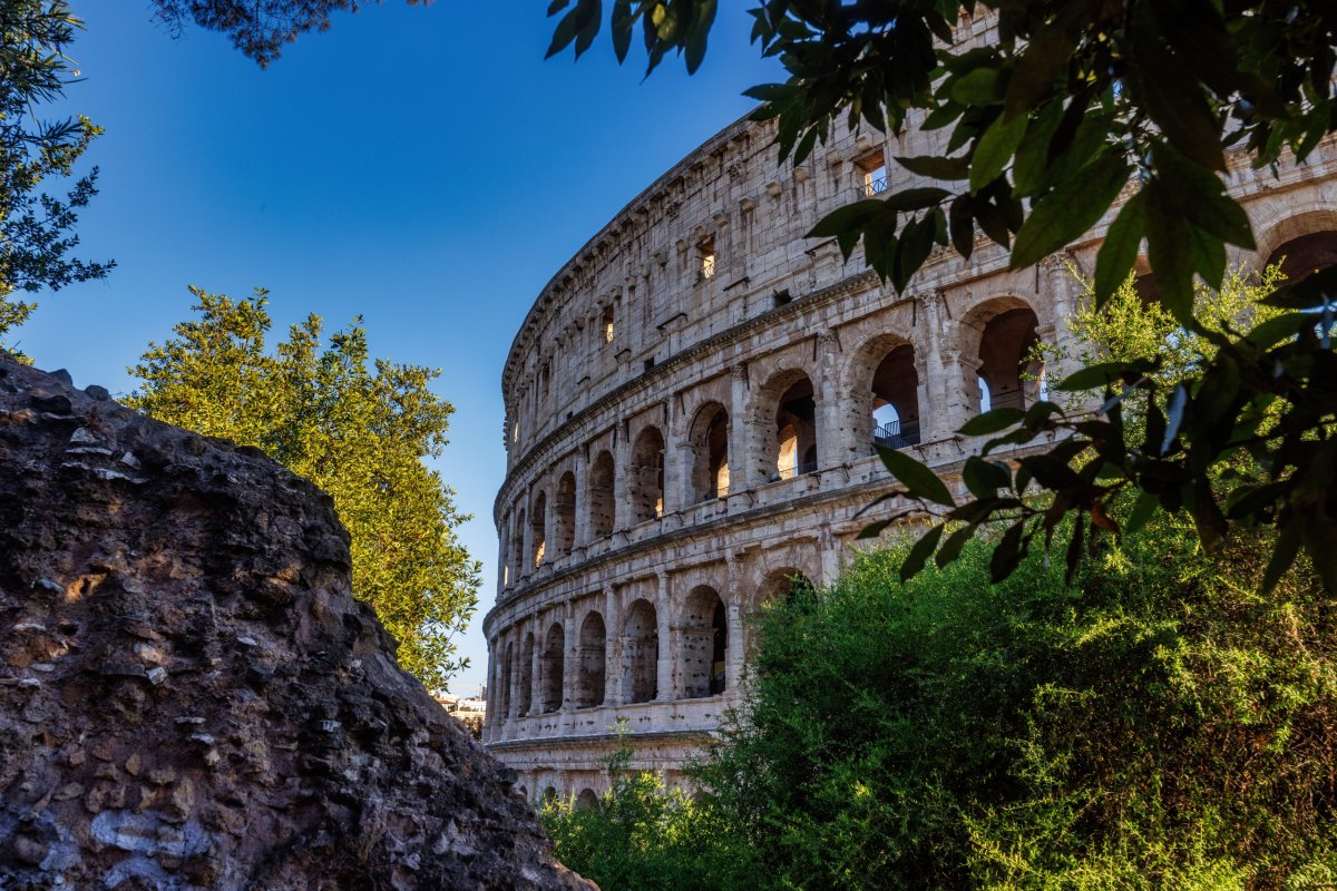 Coliseo, Foro Romano y Palatino: visita guiada