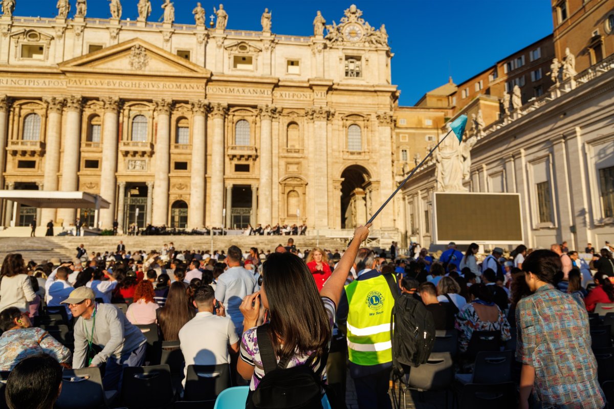 Wednesday Papal Audience: Guided Experience