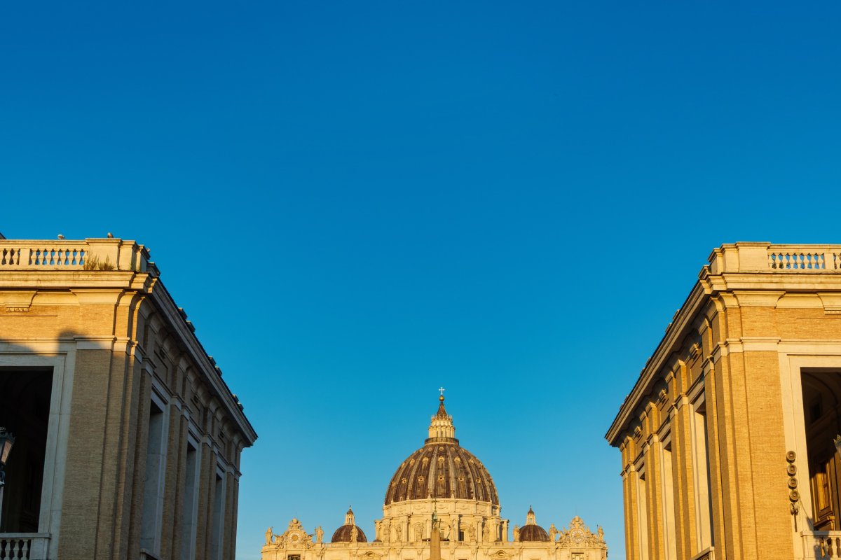 Wednesday Papal Audience: Guided Experience